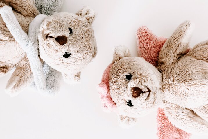 two soft teddy bears