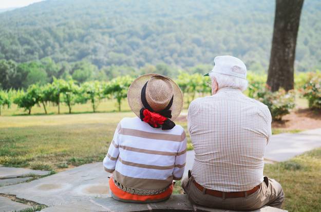 Elderly couple in the beautiful garden