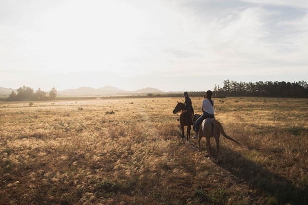 horseback riding