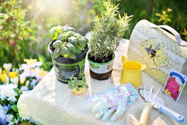 Garden tools