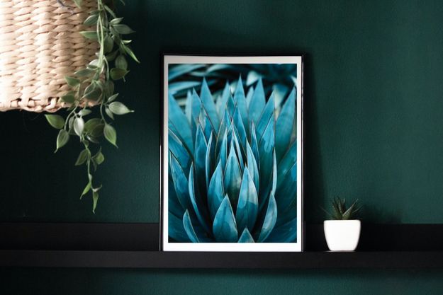 Poster with agave plant