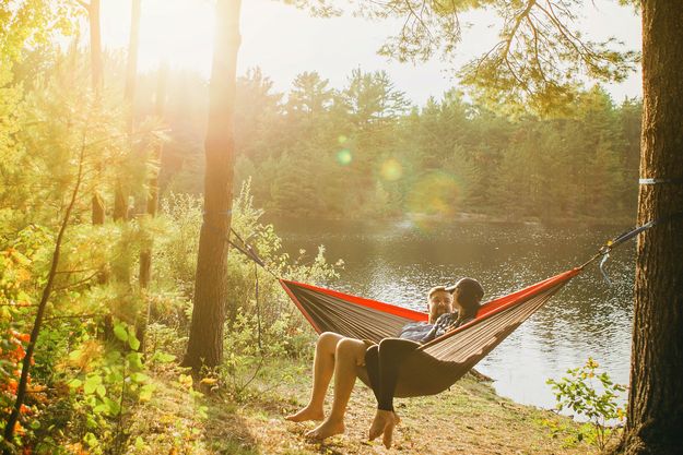 Hammock