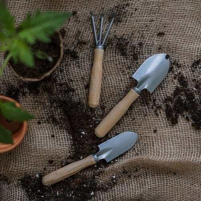 Gardening Tools and Accessories