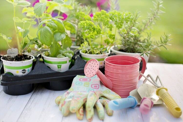 gardening-tools-and-accessories-on-the-table-with-plants