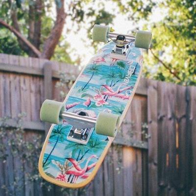 Skateboard